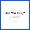 Are you busy? แปลว่า?, วลีภาษาอังกฤษ Are you busy? แปลว่า คุณ ยุ่งใช่ไหม?
