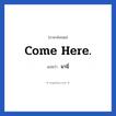 Come here. แปลว่า?, วลีภาษาอังกฤษ Come here. แปลว่า มานี่