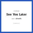See you later! แปลว่า?, วลีภาษาอังกฤษ See you later แปลว่า แล้วเจอกัน