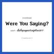 Were you saying? แปลว่า?, วลีภาษาอังกฤษ Were you saying? แปลว่า เมื้อกี้คุณพูดอะไรอยู่หรือเปล่า?