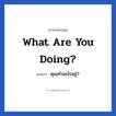 What are you doing? แปลว่า?, วลีภาษาอังกฤษ What are you doing? แปลว่า คุณทำอะไรอยู่?