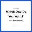 คุณอยากได้อันไหน? ภาษาอังกฤษ?, วลีภาษาอังกฤษ คุณอยากได้อันไหน? แปลว่า Which one do you want?